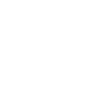 wsap2_logo_white_100px